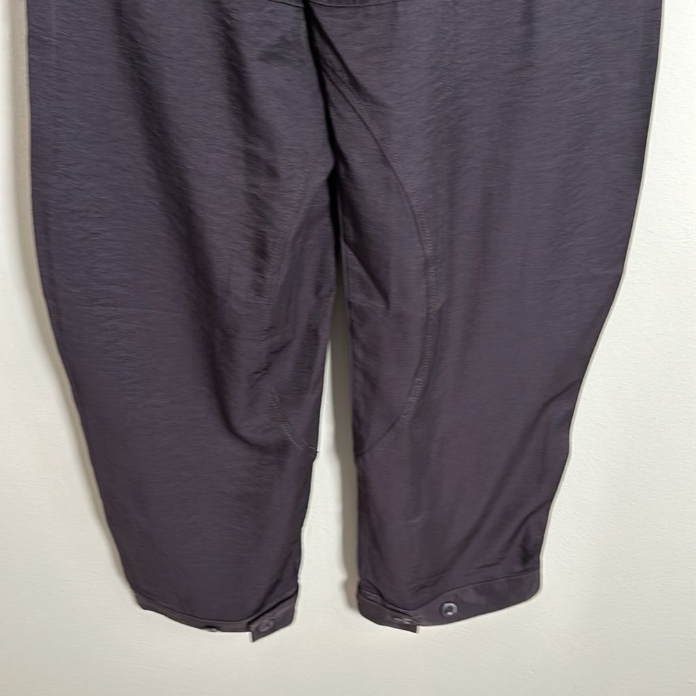 Anthropologie Tiny Cirrus Pant size 2 - Picture 11 of 13